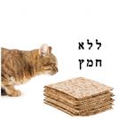 מזון לחתולים כשר לפסח